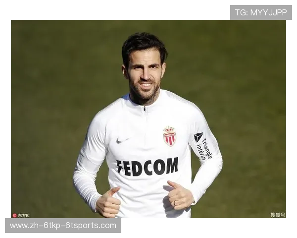 法甲新援球员数据分析及融入情况追踪